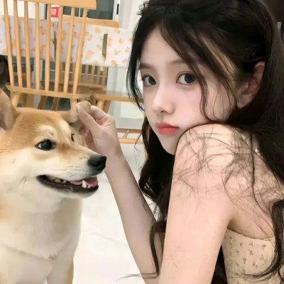 狐狸的夏天2